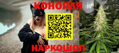 прущие грибы Можга