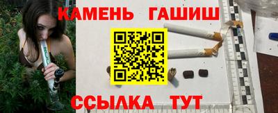 прущие грибы Можга