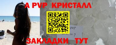прущие грибы Можга