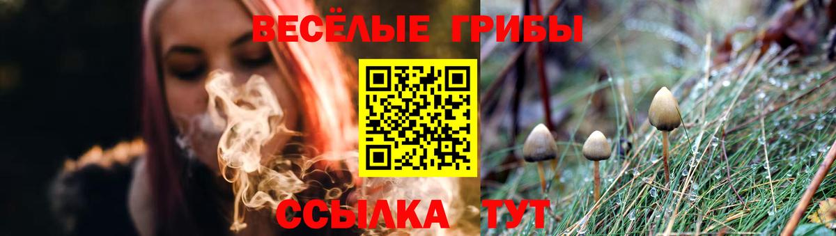 Галлюциногенные грибы мухоморы Будённовск